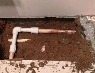 迎江测漏水哪家好