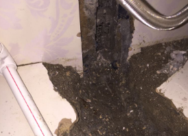 迎江卫生间测漏水哪家好