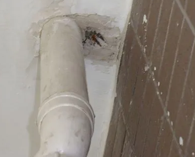 迎江漏水检测哪家好